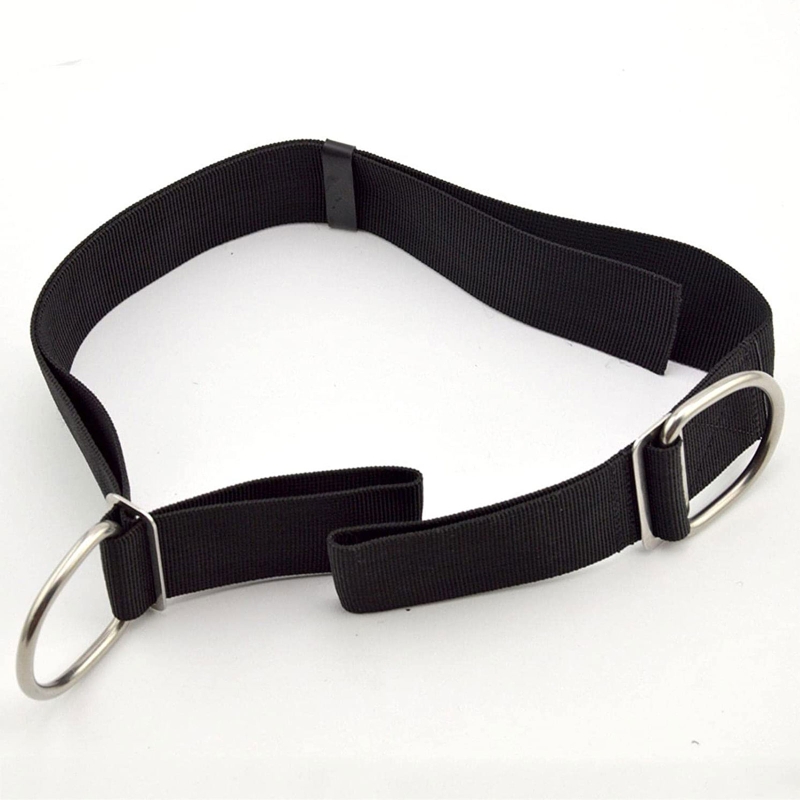 Verstellbarer Tech Dive Crotch – Tech Gear Accessories Bewertung und Preis